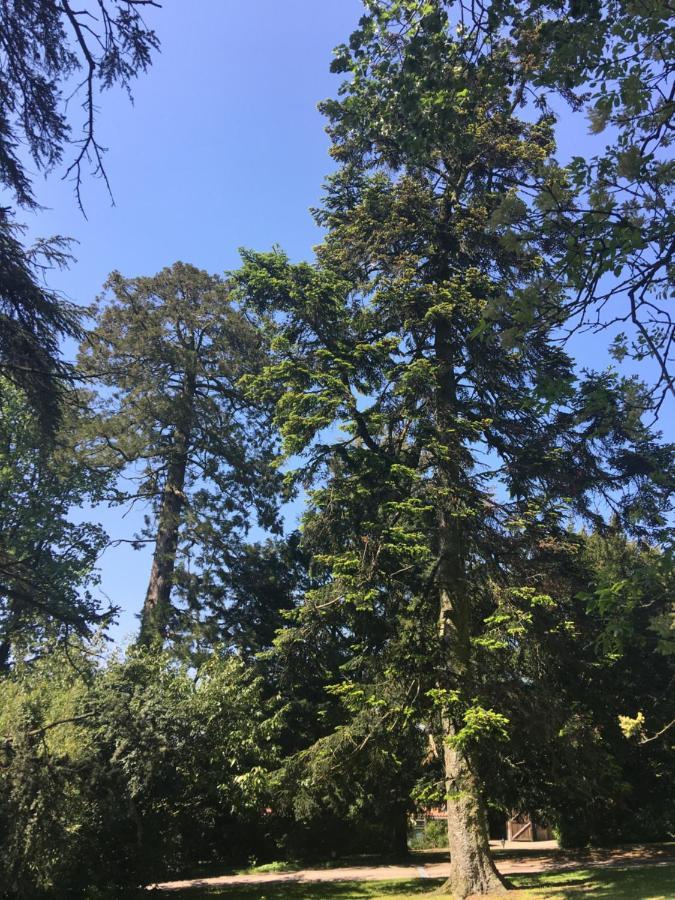 Le Château des Tourelles en Vendée La Gaubretiere Esterno foto